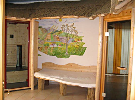 sauna_gross